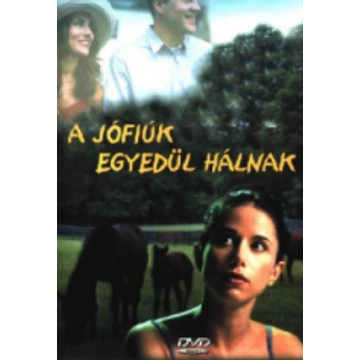 A jófiúk egyedül hálnak DVD